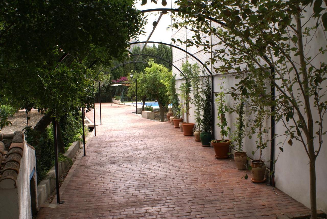 La Canota King Rooms Adults Only Talara Exteriör bild
