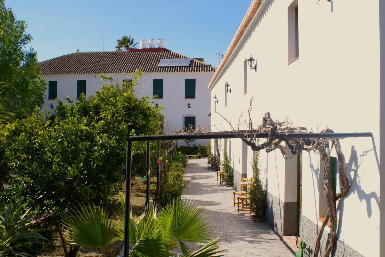 La Canota King Rooms Adults Only Talara Exteriör bild