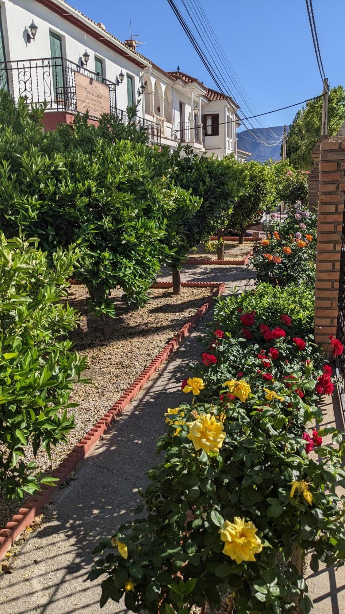 La Canota King Rooms Adults Only Talara Exteriör bild